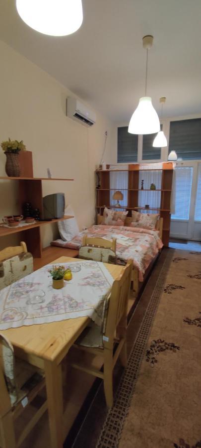 Comfortable And Cosy Studio Near Ndk Sofia Buitenkant foto